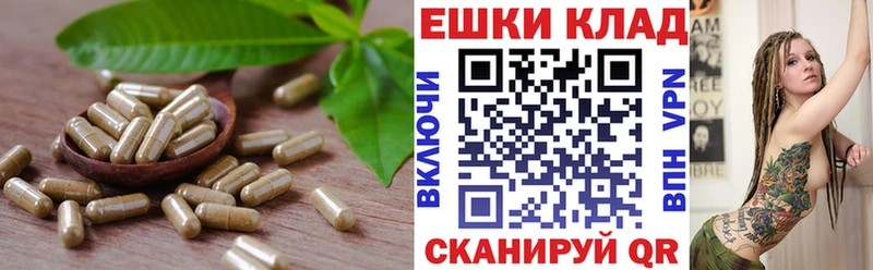 ЭКСТАЗИ MDMA  закладки  Чекалин 