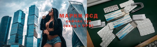прущие грибы Михайловка