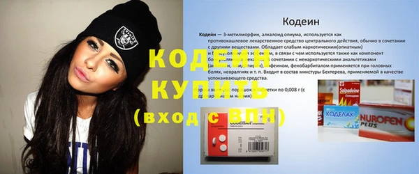 прущие грибы Михайловка