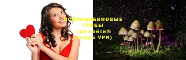 индика Михайлов