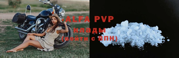 индика Михайлов