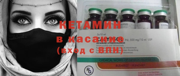прущие грибы Михайловка