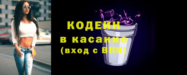 индика Михайлов