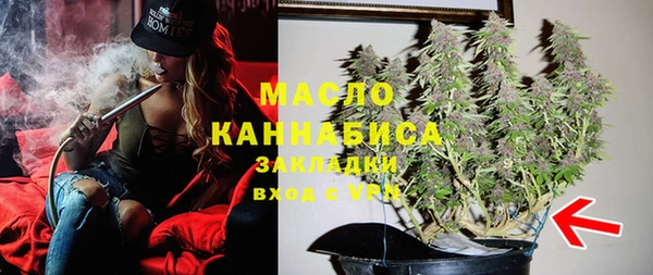 прущие грибы Михайловка
