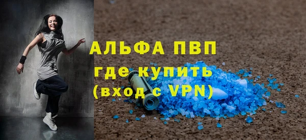 индика Михайлов