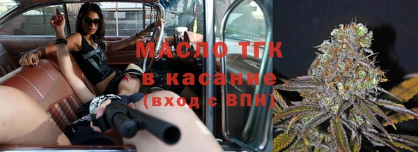 индика Михайлов