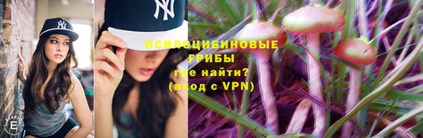 мдпв Медногорск